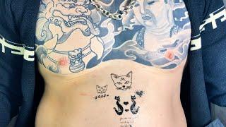 Beautiful temporary tattoos of beautiful kittens part 3 // charming tattoo asmr #26