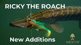 Ricky The Roach News | Westin Fishing