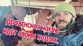 Жизнь в деревне бьет ключом Мама сыродельничает Папа занимается курами и цыплятами