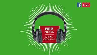 Bbc afaan oromoo Mary 20 2025 Ethiopian News today @VOAAfaanOromoo