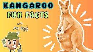 Kangaroo Fun Facts: Exploring the Wonders of Australia's Iconic Swimmer