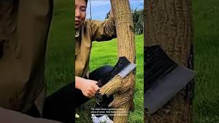 Woodworking: creating a unique wood sculpture