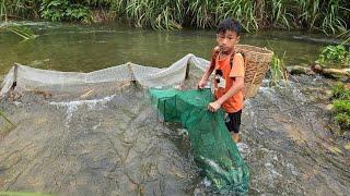 fish trap, fish trap making technique, highland boy khai harvested 12kg of stream fish for sale