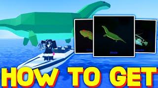 HOW TO GET NEW HALLOWEEN EVENT FISH SHOWCASE in FISCH! ROBLOX