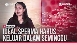 RESEP SEHAT : IDEALNYA, SPERMA HARUS KELUAR BERAPA KALI DALAM SEMINGGU?