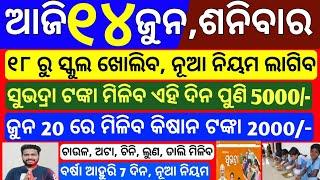 today's odisha morning news | 14 june 2025 | Subhadra yojana online apply | pm kisan money transfer