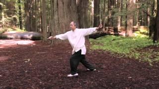 Tai Chi Sword 54-form by Master Yang (YMAA) 楊氏太極劍 － 五十四式