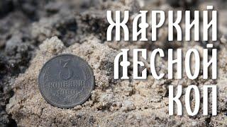 Жаркий коп в июньском лесу.