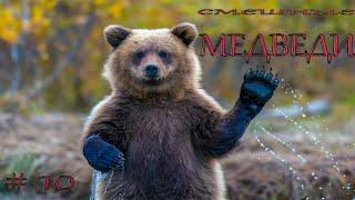 Подборка видео приколов выпуск 10.МЕДВЕДИ . Compilation funny videos with BEAR №10