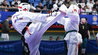 Grand Prix 2024 of Kyokushin karate ( 2 Tatami ), Armenia, Yerevan