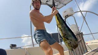 Catching a big Mahi Mahi and Hydrovane troubles | Solo Atlantic crossing | Daily vlog #18