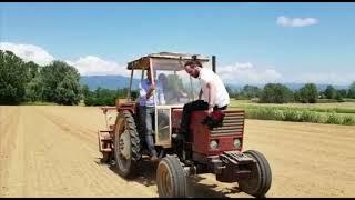 Uazzo professione seminatore