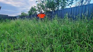 Neighbours SHOCKED At What I Did To This OVERGROWN LAWN