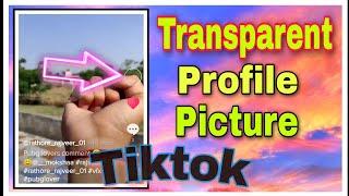 Tiktok transparent Profile Picture Trend | How to hide dp in Tiktok || Tutorial Master