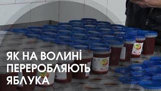 Виробництво зсередини: як Берестечківський завод понад 20 років переробляє яблука