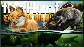 I Hunted Mississippi for a WHOLE WEEK & This is What I Found! #2 - the Hunter Call of the Wild