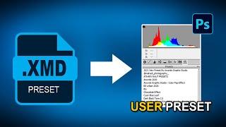 How to Import/Install Presets in Photoshop | Import XMP File | Photoshop Tutorial