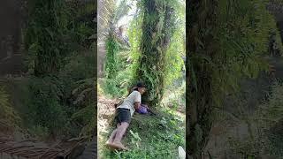 ngintip cewek lagi mandi di sungai  lucu,#shorts#comedy