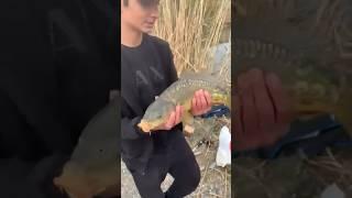 Рыбалка на карпа #карп #fishing #рыбалка #приколы #природа