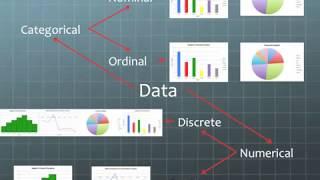 Types of Data: Categorical and Numerical