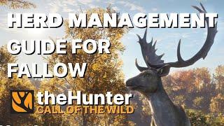 Ultimate Herd Management Guide for Fallow Deer Great One Grind on the Hunter Call of the Wild