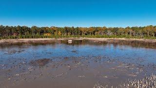 Clarendon Club Impoundment: South Carolina's Premier Mixed Bag Waterfowl Hunting Destination!