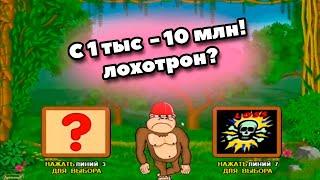 19 миллионов: Стрим в Казино Вулкан Старс - вулкан казино онлайн! Арчи казино стрим