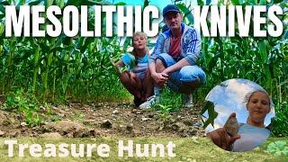 Prehistoric Mesolithic Knives | Treasure Hunt