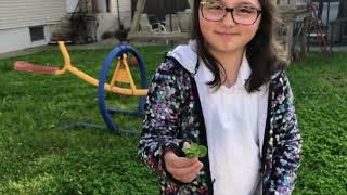 Rare 5- and 6-leaf clovers found in South Beach by 9-year-old girl