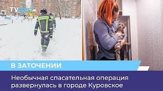 Необычная спасательная операция развернулась в городе Куровское