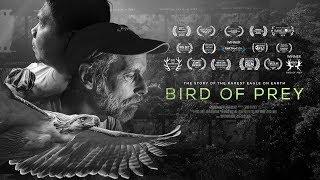 Bird Of Prey Movie: Trailer