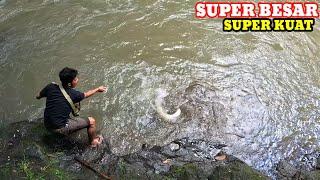 MANCING SIDAT SUPER MONSTER . TARIKAN SUPER KUAT DI DALAM LUBANG KECIL..