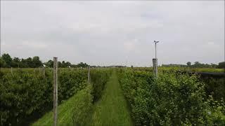 Der Gartenbau-Profi zu Besuch im Bayerischen Obstzentrum