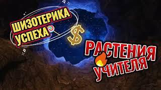 ШИЗОТЕРИКА УСПЕХА И РАСТЕНИЯ УЧИТЕЛЯ/Призвание/Волшебные грибы/Аяуаска