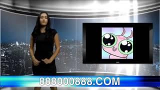 WTF??? News
