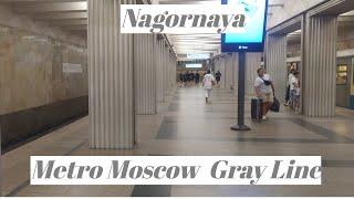 Nagornaya station, metro Moscow, Gray Line Fragment 6