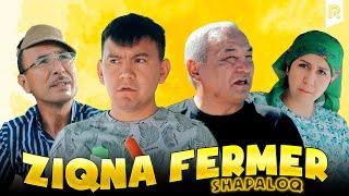 Shapaloq - Ziqna Fermer (hajviy ko'rsatuv)