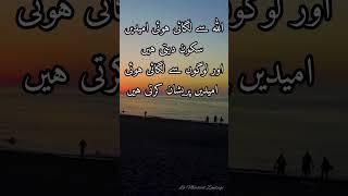 life Quotes #inspirational quotes quotes #motivationalquotes #shortsfeed #viral #ytshorts #fyp #you