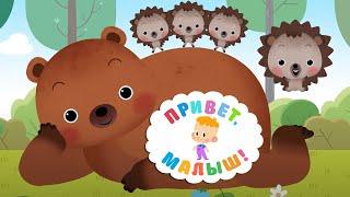 Привет, малыш! Про Ёжика  Сборник - мультфильмы для детей