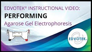 Performing Agarose Gel Electrophoresis - Edvotek Video Tutorial