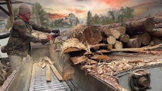 Extreme Wood Chipping – Live Streaming Now!