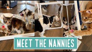 Meet the Nannies