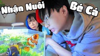 Kairon Nhận Nuôi BÉ CÁ MỚI !? *nuôi cá cũng vui*