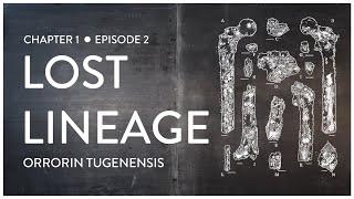 Lost Lineage: Orrorin tugenensis (Feat. Lindsay Nikole)