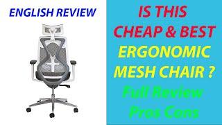 Best Mesh Chair 2023 🪑 | High Back Ergonomic Chair with Mesh Seat Office | REVIEW PROS CONS India