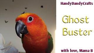 Ghost Buster: Voodoo the Jenday Conure Forages - The Ghost Bird Toy