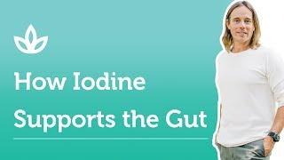 How Iodine Supports Gut Health