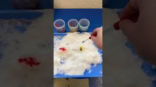 ️ Colorful Snow Science: Ohio's snowy gift! I've brought the first snow of the season right into o
