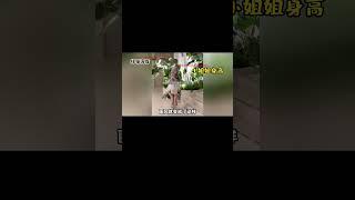 只因cos得太還原，小姐姐竟然被質疑開科技？ #原神 #盛典與慧業 #小姐姐 #cos #胡桃