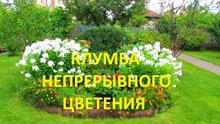 Клумба непрерывного цветения из многолетников | Про Сад с Любовью